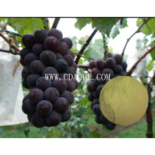 Grape Organc Fertilizer